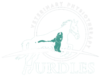Hurdles Veterinary Physiotherapy