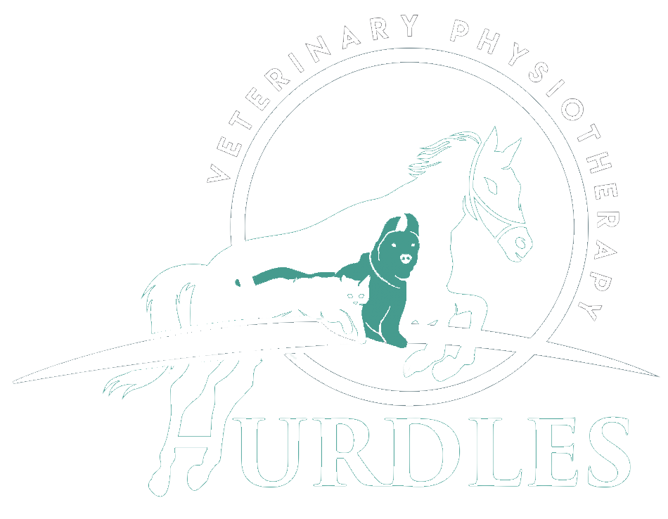 Hurdles Veterinary Physiotherapy